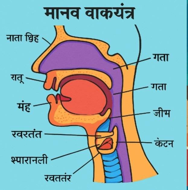 पोस्ट इमेज